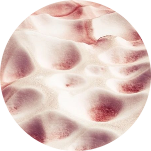 Snow Algae Powder