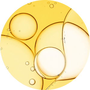 Sunflower Sprout Extract