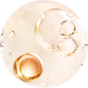  Ceramide AP