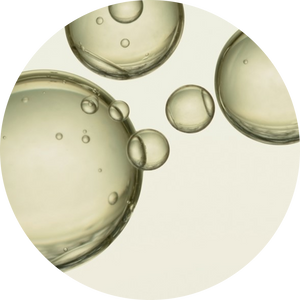 Nano Lipobella H-AECL